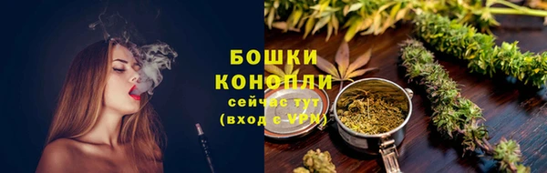 сатива Каменка