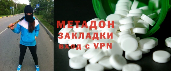 сатива Каменка
