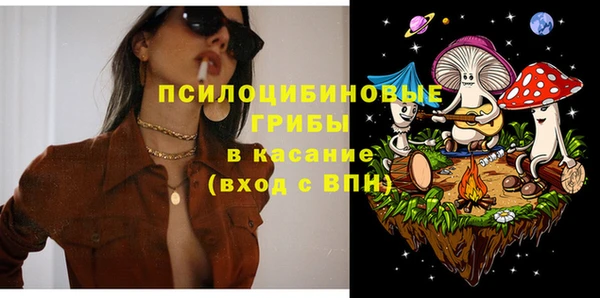 мет Карпинск